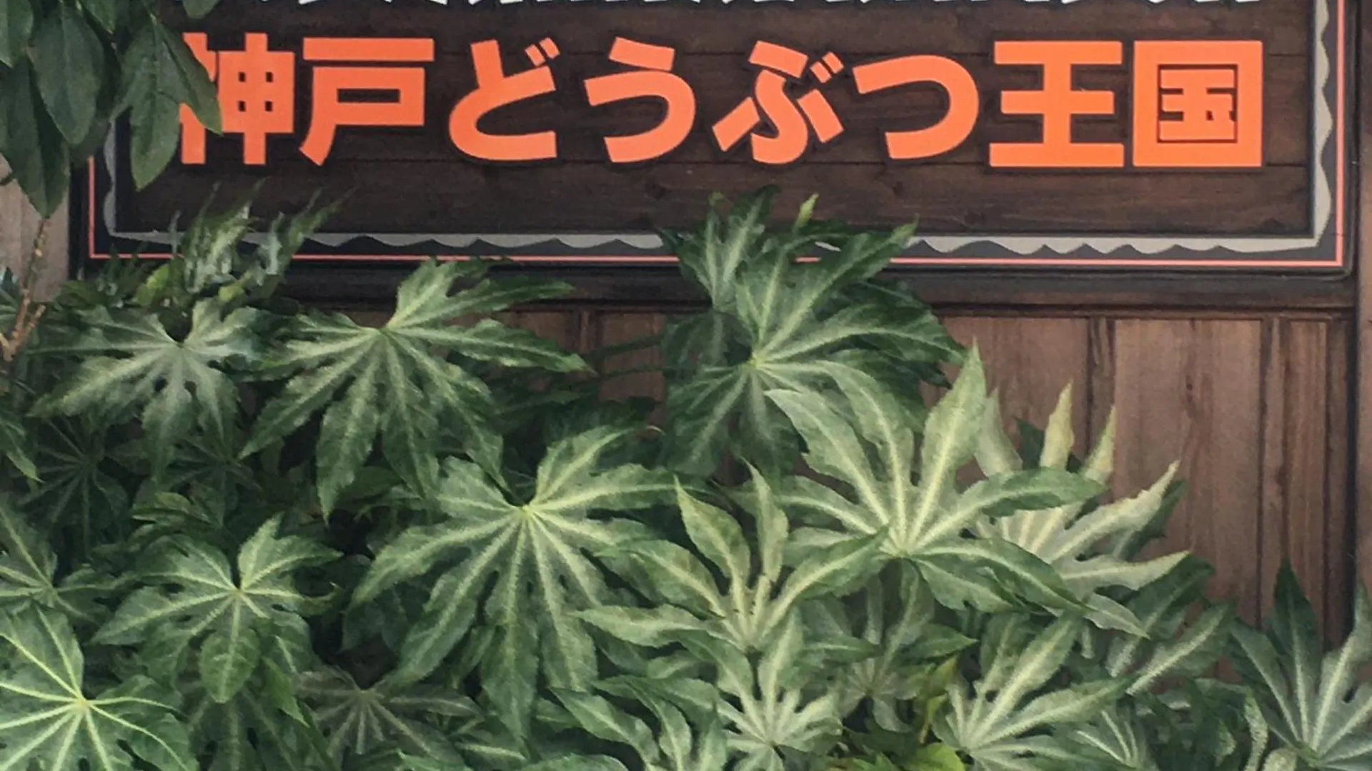 Private Inn Bambee Kōbe